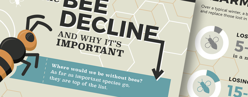 bee infographic design nyc